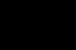 Feature Film Laurel 5